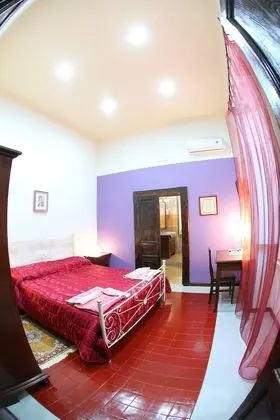 Standard Tek Büyük Yataklı Oda (Viola)