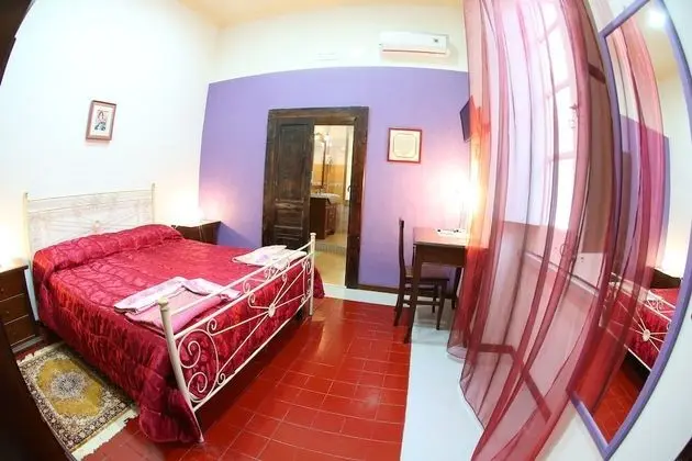 Standard Tek Büyük Yataklı Oda (Viola)