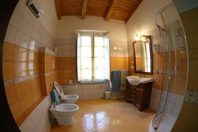 Standard Tek Büyük Yataklı Oda (Viola)