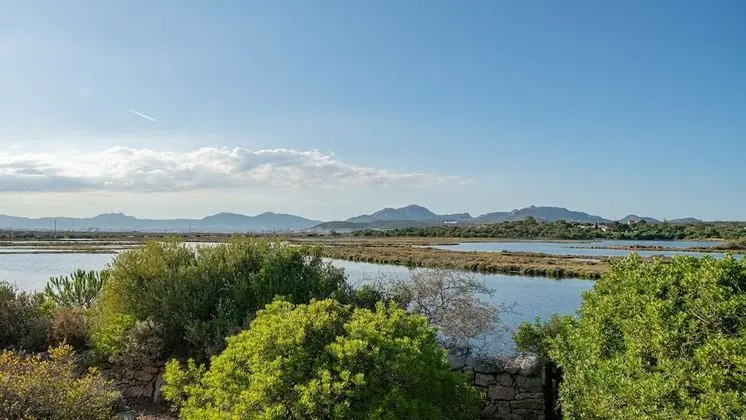 Apart Daire, 4 Yatak Odası