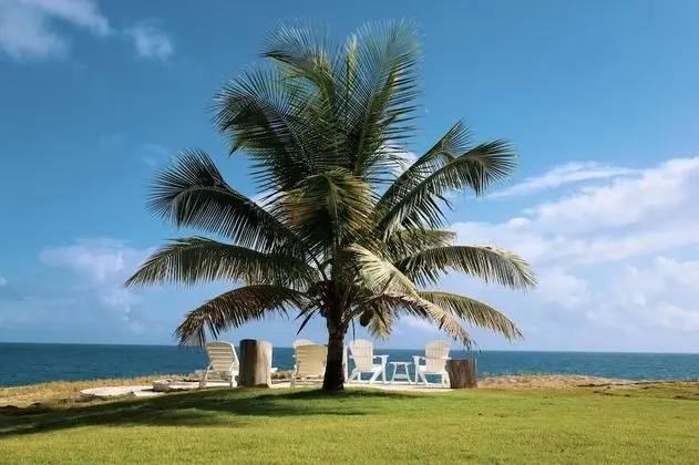 Villa, Sigara İçilebilir