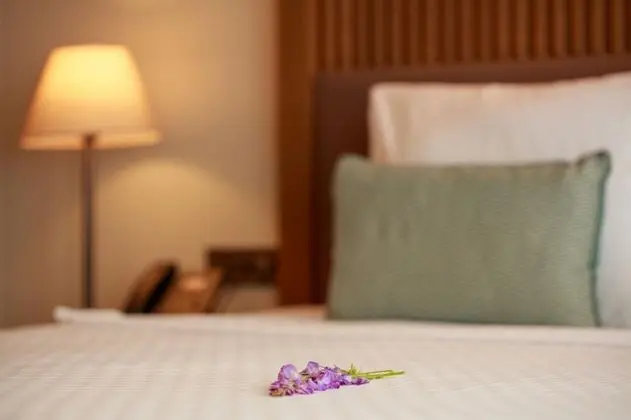 1+1 Luxury Suite, Havuz Manzaralı