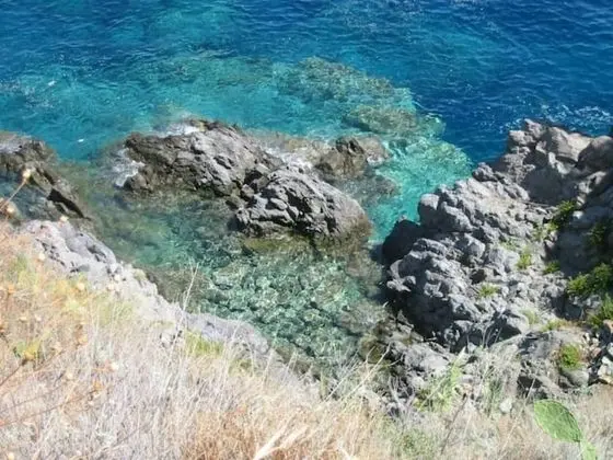 Villa, 1 Yatak Odası, Teras