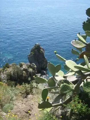 Villa, 1 Yatak Odası, Teras