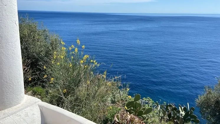 Villa, 1 Yatak Odası, Teras