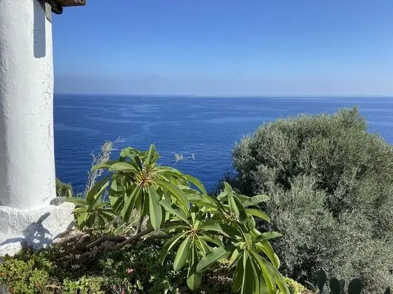 Villa, 1 Yatak Odası, Teras