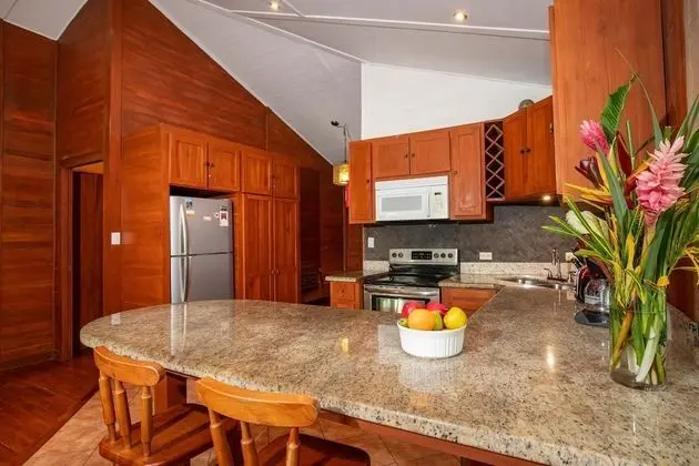 Ev