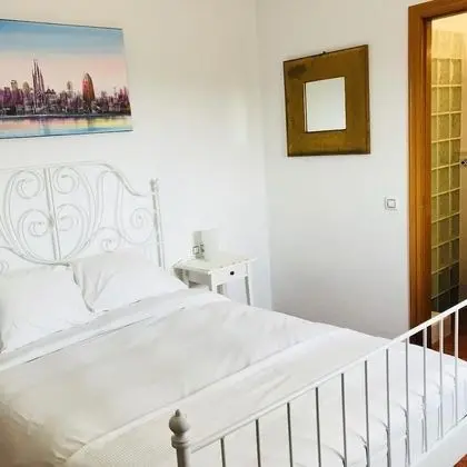 Tek Büyük Yataklı Oda, 1 Çift Kişilik Yatak, Sigara İçilmez, Özel Banyo