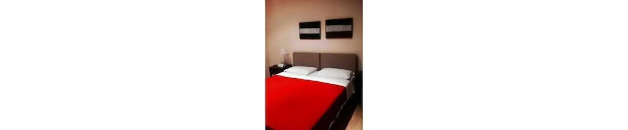 Superior Tek Büyük veya İki Ayrı Yataklı Oda