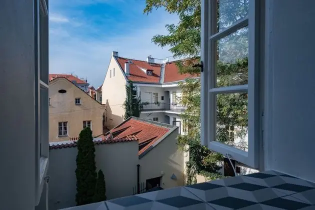 Süit