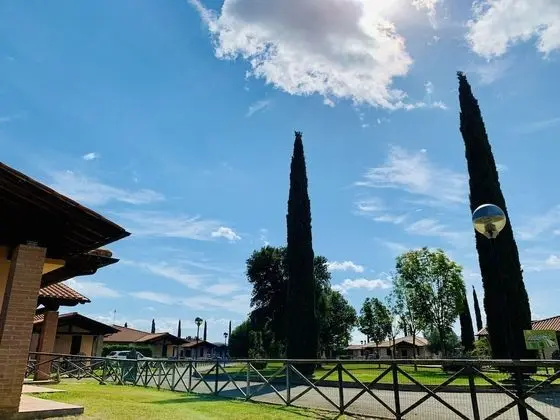 Premium Apart Daire, Bahçe Manzaralı