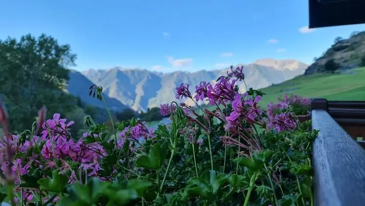 Comfort Oda, Dağ Manzaralı, Dağ Yamacı