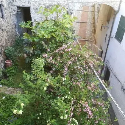 Apart Daire, 2 Yatak Odası, Şömine