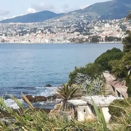 Apart Daire, 2 Yatak Odası, Şömine
