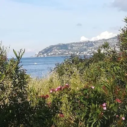 Apart Daire, 2 Yatak Odası, Şömine