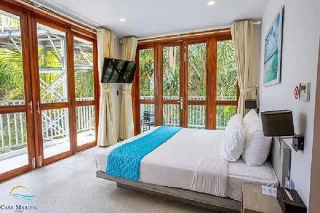 Deluxe Tek Büyük Yataklı Oda, Bahçe Manzaralı