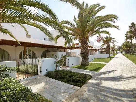 Oliva Casa Grande