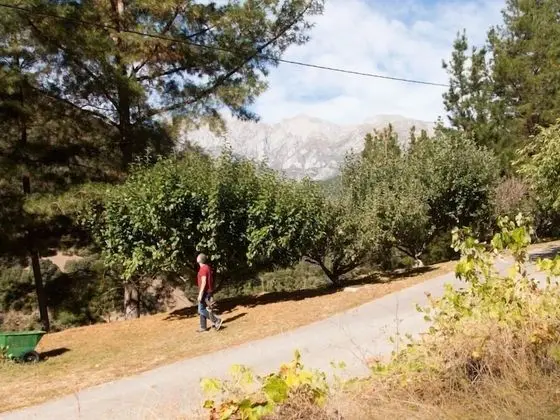 Comfort Ev, Banyolu/Duşlu, Bahçe Manzaralı