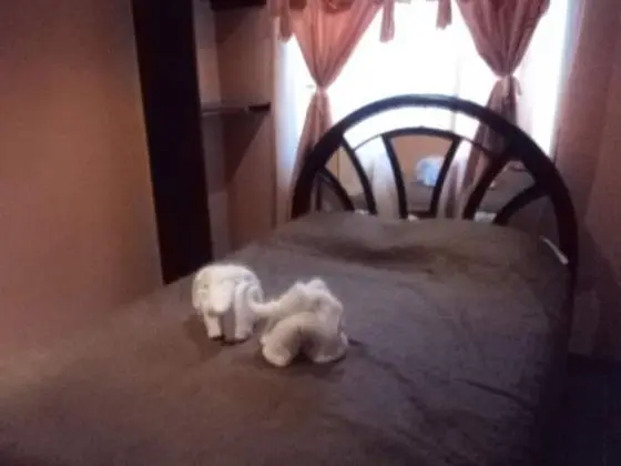 Apart Daire, 1 Çift Kişilik Yatak