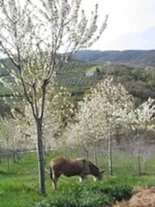 Ev, Birden Çok Yatak