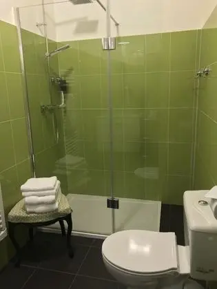 Comfort Tek Büyük Yataklı Oda (Jardin d'hiver)