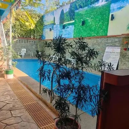 Junior Family Room