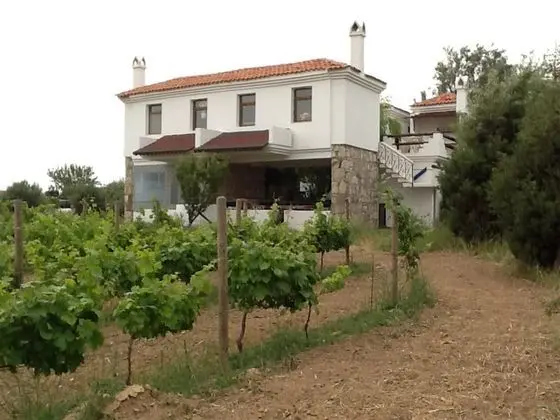 Bağ Evi