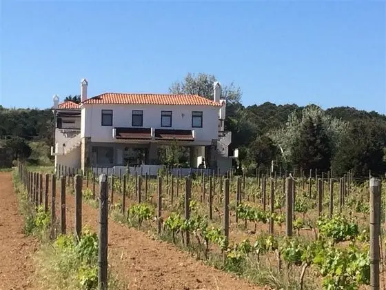 Bağ Evi