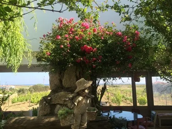 Bağ Evi