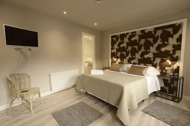 Superior Tek Büyük Yataklı Oda, 1 Büyük (Queen) Boy Yatak, Sigara İçilmez