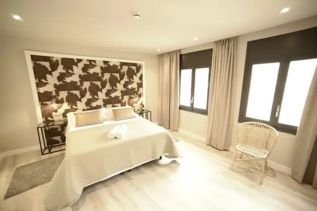 Superior Tek Büyük Yataklı Oda, 1 Büyük (Queen) Boy Yatak, Sigara İçilmez