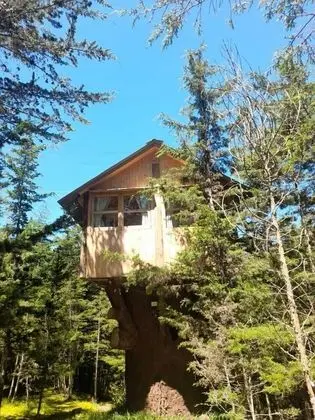 Comfort Ağaç Ev, 1 Yatak Odası, Bahçe Manzaralı (Luna)