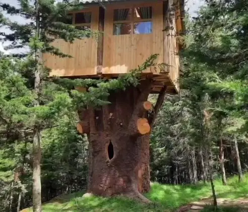 Comfort Ağaç Ev, 1 Yatak Odası, Bahçe Manzaralı (Luna)