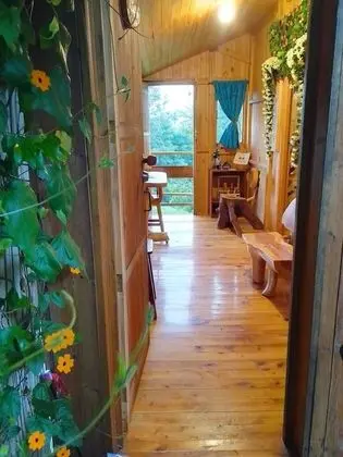 Family Dört Kişilik Oda (Celeste)