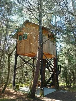 Premier Tek Büyük Yataklı Oda (Pinares)