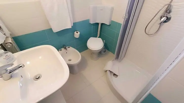 Standard Tek Büyük veya İki Ayrı Yataklı Oda, Banyolu/Duşlu (Standard)