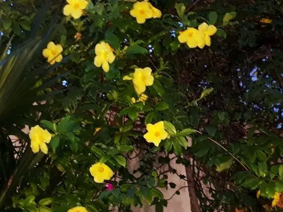 Apart Daire, 2 Yatak Odası, Sigara İçilebilir, Balkon