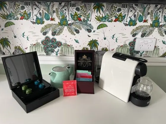 Deluxe Tek Büyük veya İki Ayrı Yataklı Oda