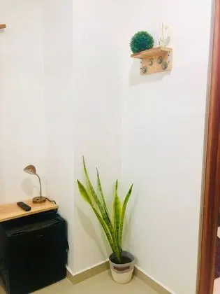 Basic Oda (Basic Room 5)