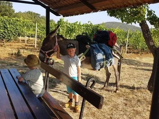 Apart Daire, 2 Yatak Odası, Sigara İçilebilir, Veranda