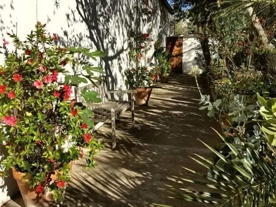 Comfort Stüdyo, Banyolu/Duşlu, Bahçe Manzaralı (8)