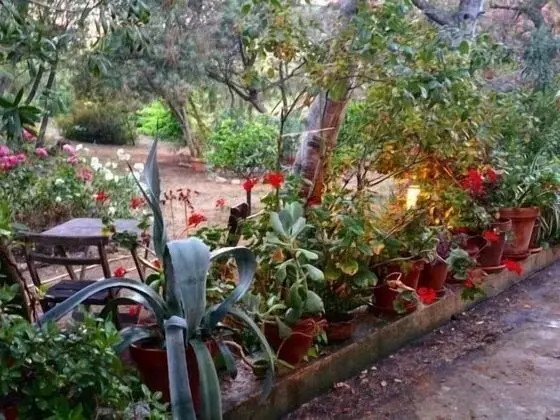 Comfort Stüdyo, Banyolu/Duşlu, Bahçe Manzaralı (8)