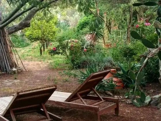 Ev, Banyolu/Duşlu, Bahçe Manzaralı