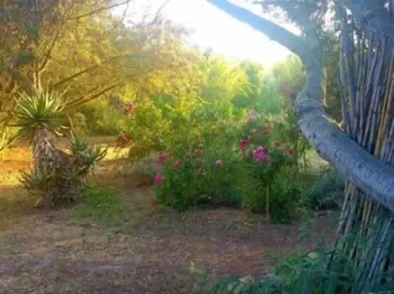 Ev, Banyolu/Duşlu, Bahçe Manzaralı