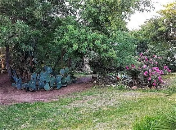 Ev, Banyolu/Duşlu, Bahçe Manzaralı