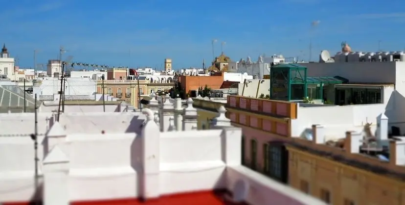 Çatı Katı Süiti (Penthouse)