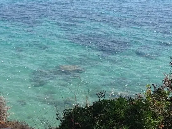 Apart Daire, 2 Yatak Odası, Teras