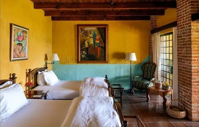 Deluxe Oda (San Lucas)