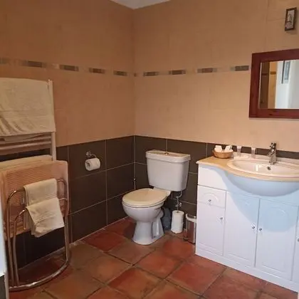 Deluxe Süit, 1 Çift Kişilik Yatak