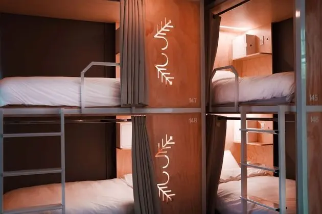 Cama en Habitación Compartida Mixta de 8